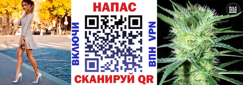 закладка  Нахабино  Канабис OG Kush 